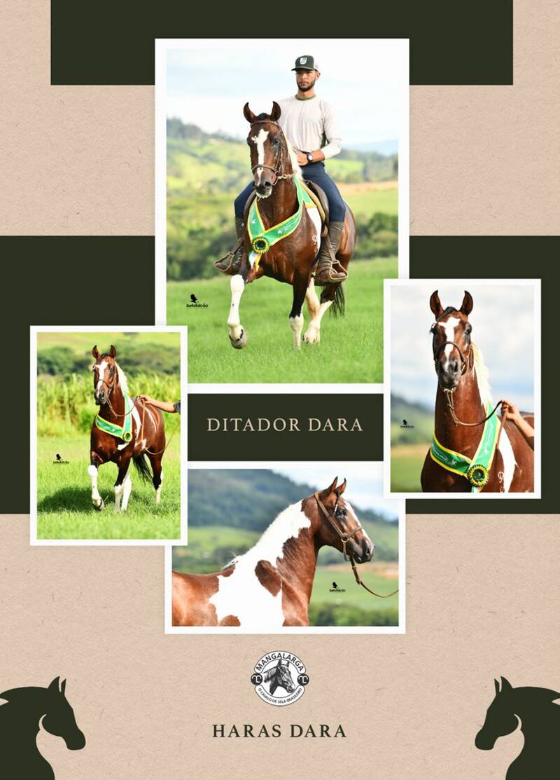 Foto 50% DITADOR DARA (T.E.)