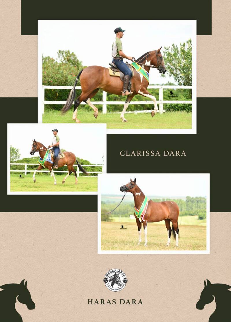 Foto 50% CLARISSA DARA (T.E.)