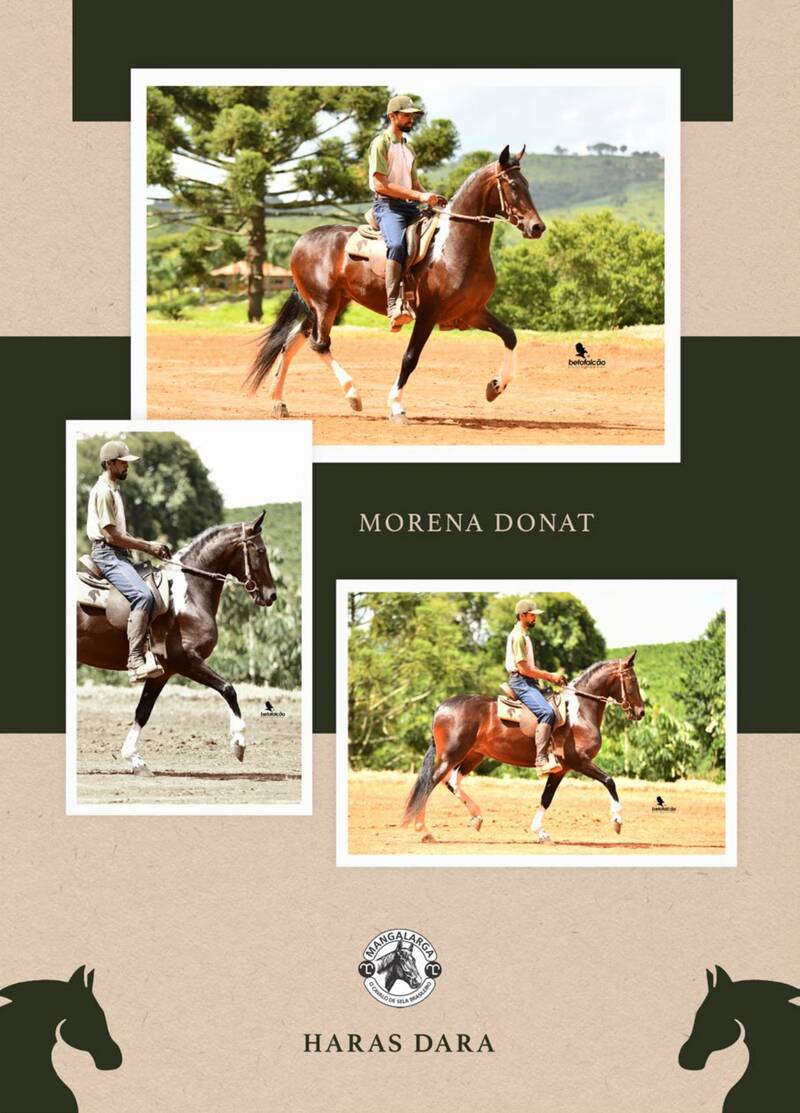 Foto 50% MORENA DONAT