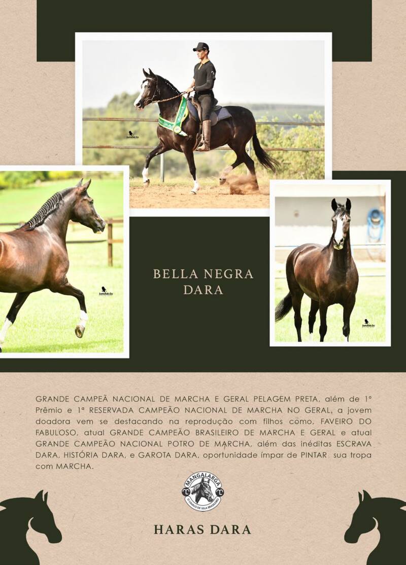 Foto 100% DIREITOS REPRODUTIVOS BELLA NEGRA DARA (T.E.)