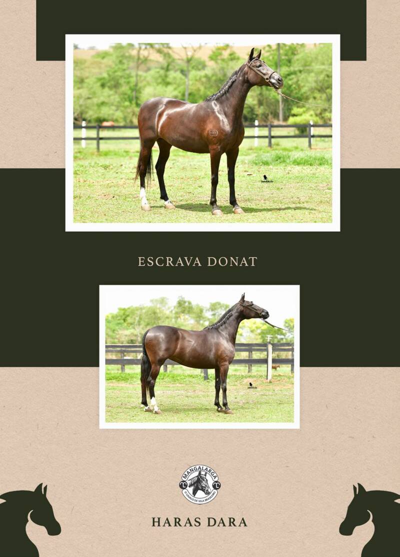 Foto 50% ESCRAVA DONAT