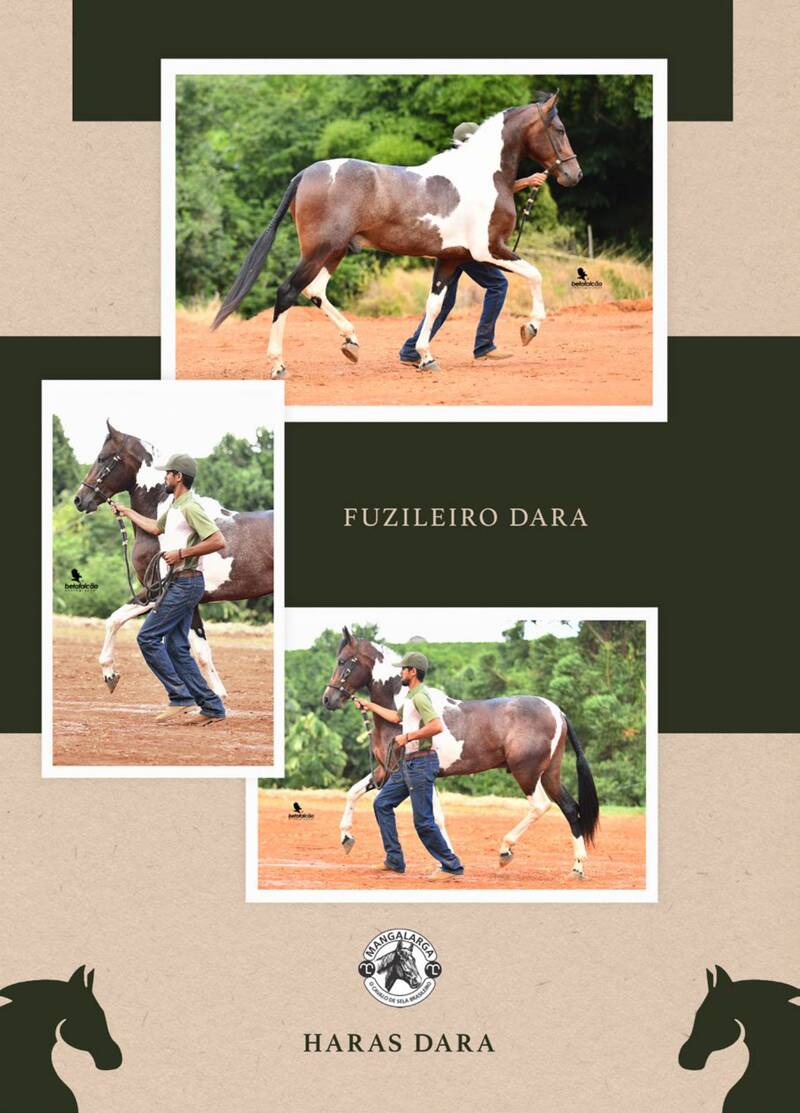 Foto 100% FUZILEIRO DARA (T.E.)