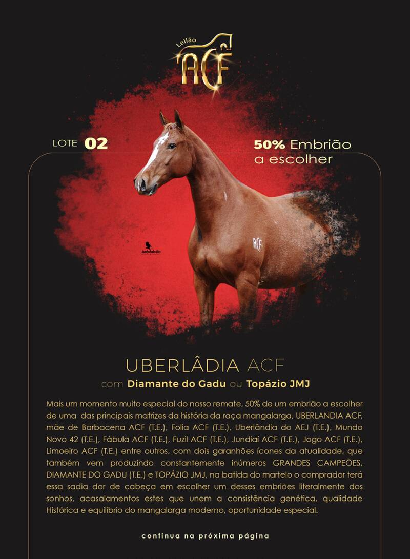 Foto (50.0%) EMBRIÃO A ESCOLHER - UBERLÂNDIA ACF X DIAMANTE DO GADU OU TOPÁZIO JMJ