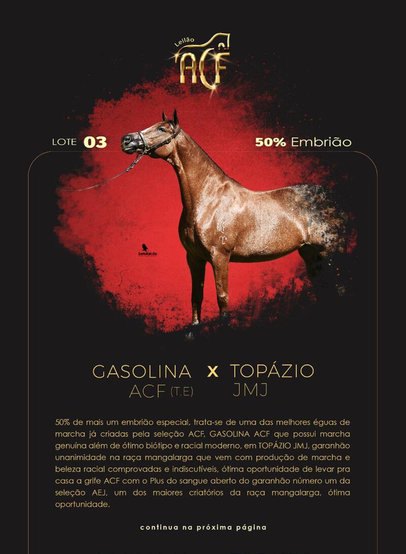 Foto (50.0%) EMBRIÃO GASOLINA ACF (T.E.) X TOPÁZIO JMJ