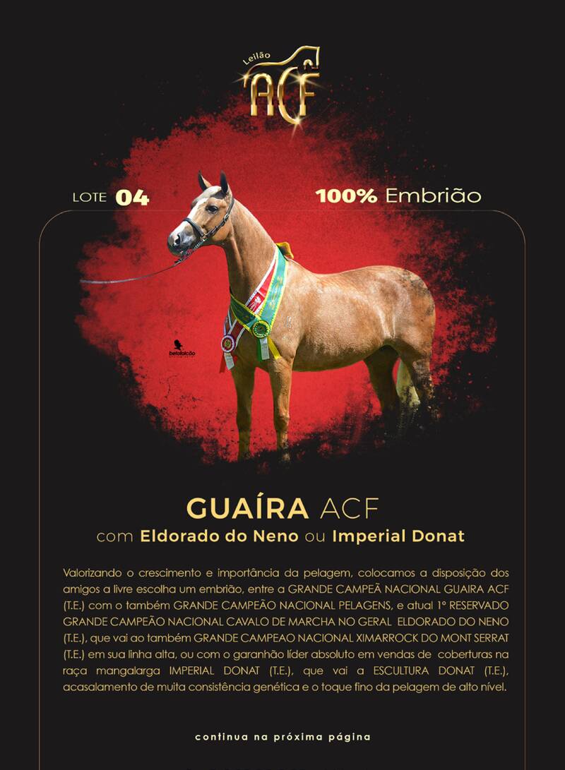 Foto (100.0%) EMBRIÃO A ESCOLHER - GUAÍRA ACF X ELDORADO DO NENO OU IMPERIAL DONAT