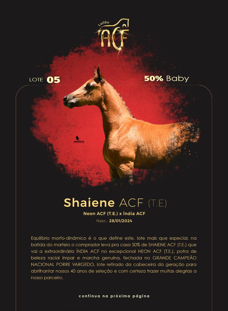 Foto (50.0%) SHAIENE ACF (T.E.)