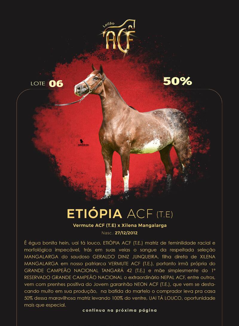Foto (50.0%) ETIÓPIA ACF (T.E.)