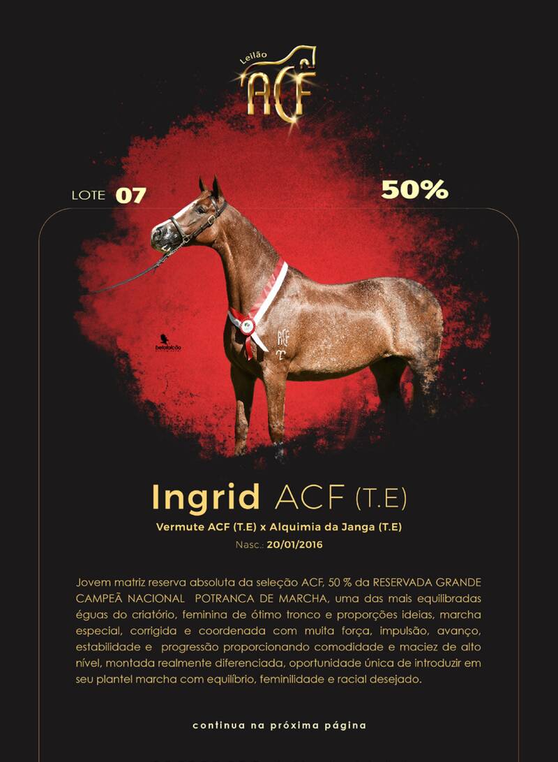 Foto (50.0%) INGRID ACF (T.E.)