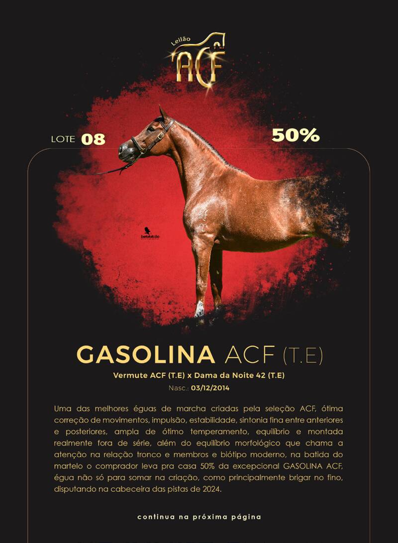 Foto (50.0%) GASOLINA ACF (T.E.)