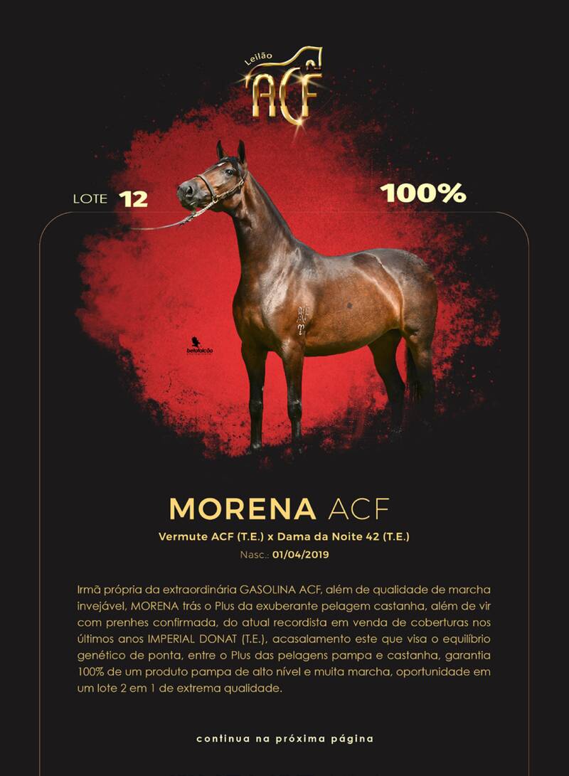Foto (100.0%) MORENA ACF