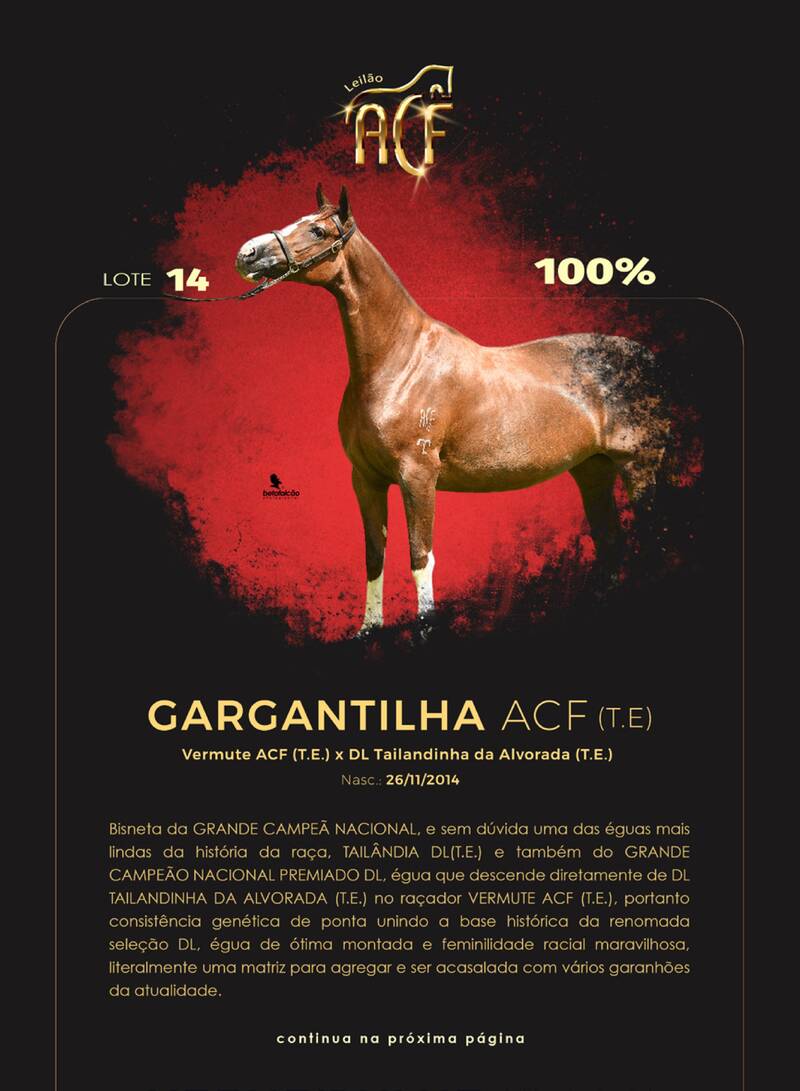 Foto (100.0%) GARGANTILHA ACF (T.E.)