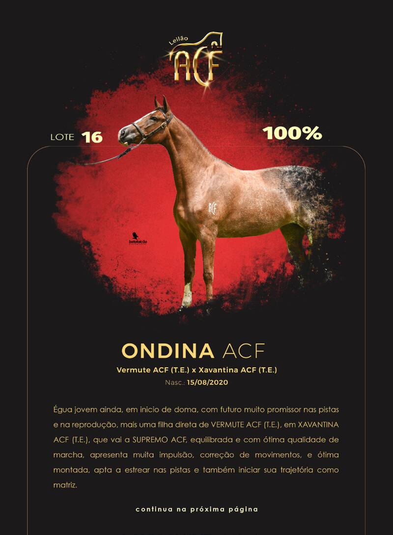 Foto (100.0%) ONDINA ACF