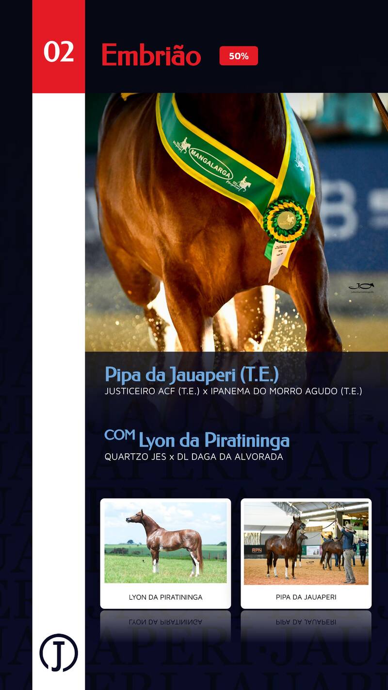 Foto (50.0%) EMBRIÃO PIPA DA JAUAPERI (T.E.) X LYON DA PIRATININGA