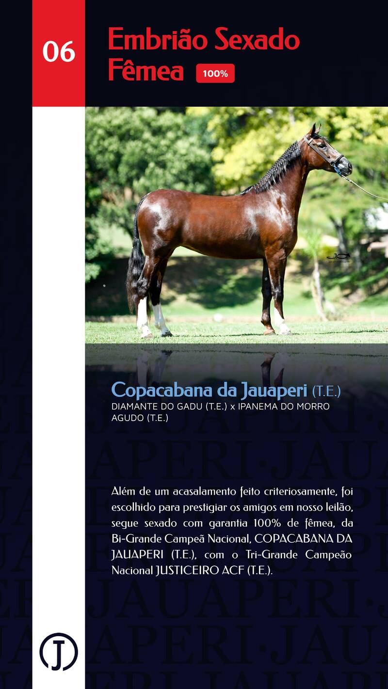Foto (100.0%) EMBRIÃO COPACABANA DA JAUAPERI (T.E.) (SEXADO FÊMEA)