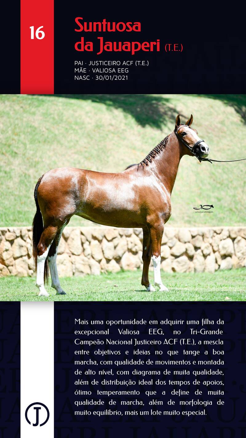 Foto (100.0%) SULTUOSA DA JAUAPERI (T.E.)