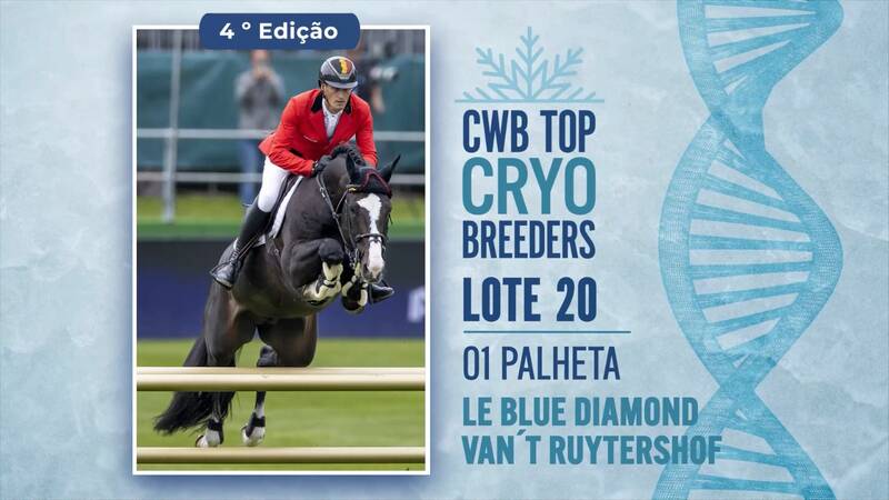 Foto 1 PALHETA LE BLUE DIAMOND VAN ´T RUYTERSHOF