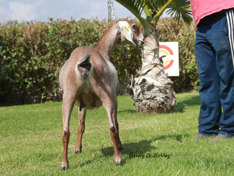 Foto SABINA DO PARAGUASSU