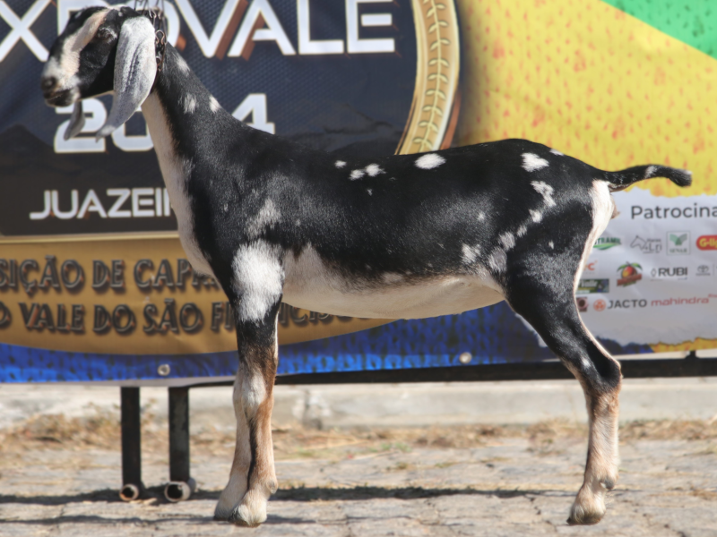 Foto SUCURI DO RIO UNA