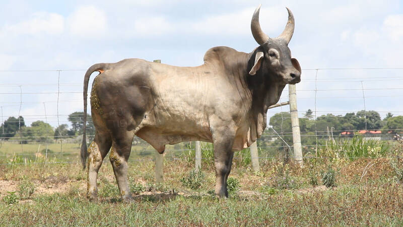 Foto PARCEIRO DA FASF