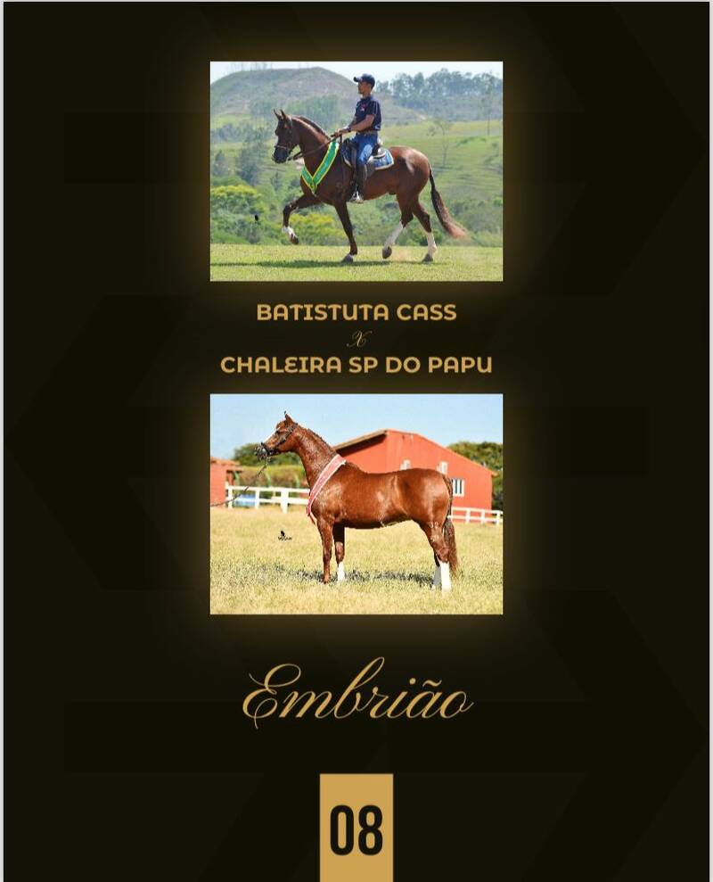 Foto EMBRIÃO BATISTUTA CASS X CHALEIRA SP DO PAPU