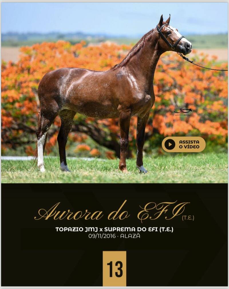 Foto AURORA DO EFI (T.E)