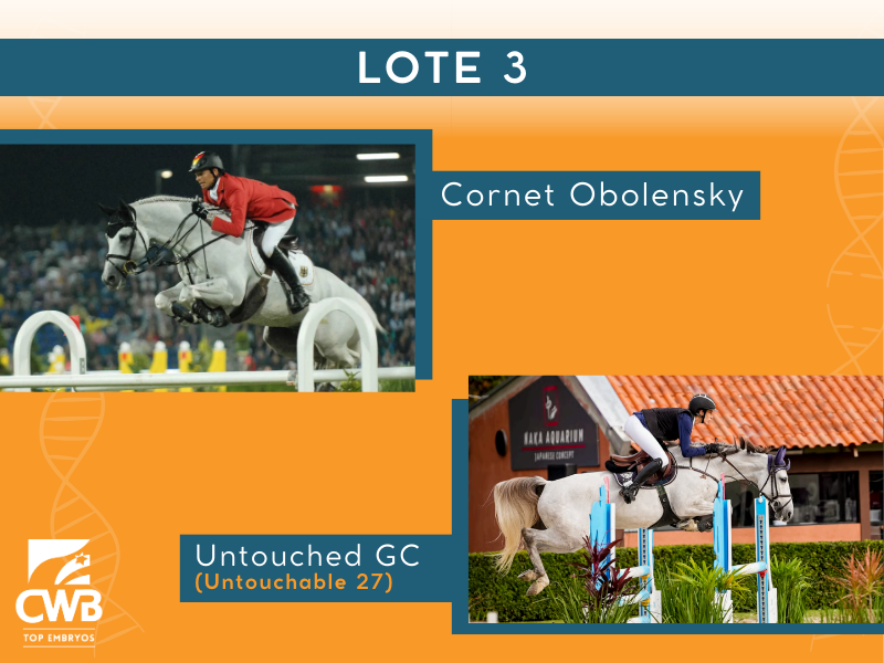Foto CORNET OBOLENSKY X UNTOUCHED GC (UNTOUCHABLE 27)