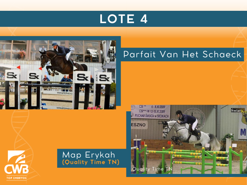 Foto PARFAIT VAN HET SCHAECK X MAP ERYKAH (QUALITY TIME)