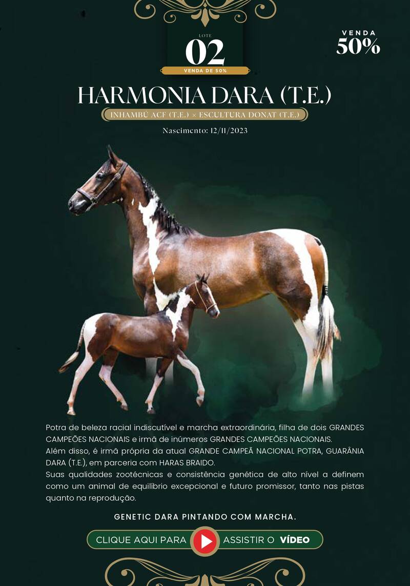 Foto (50.0%) HARMONIA DARA (T.E.)