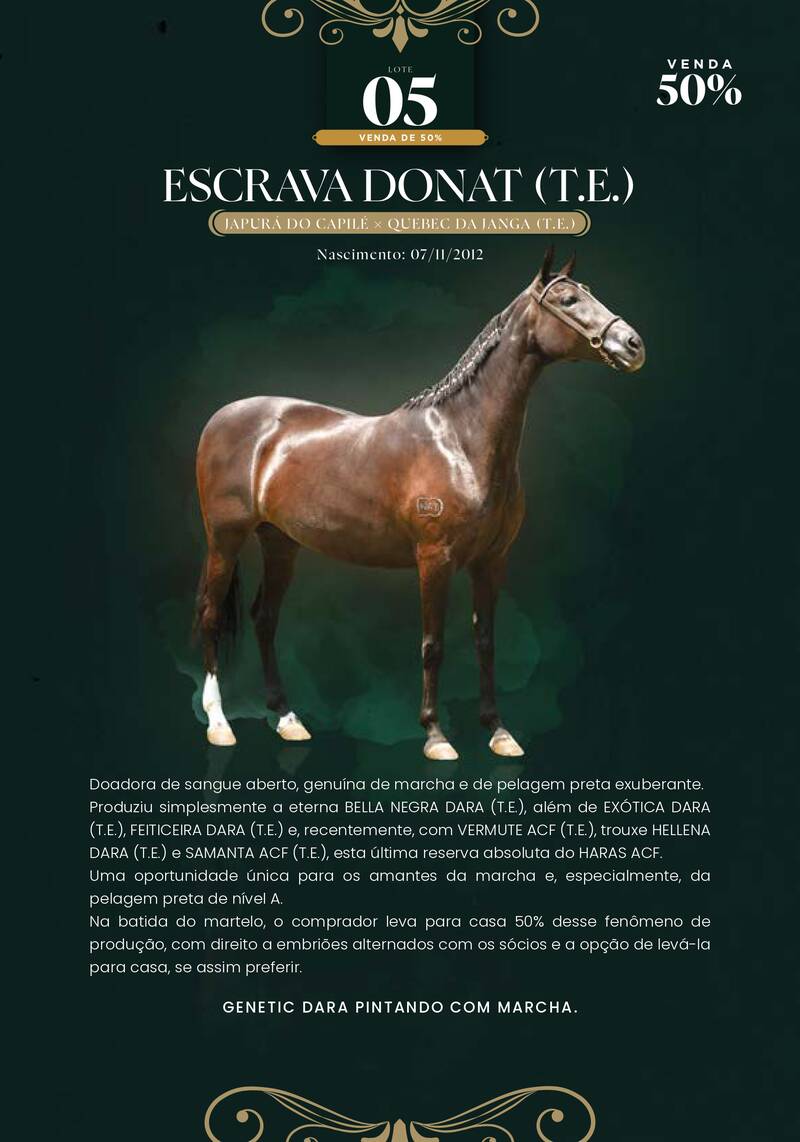 Foto (50.0%) ESCRAVA DONAT (T.E.)