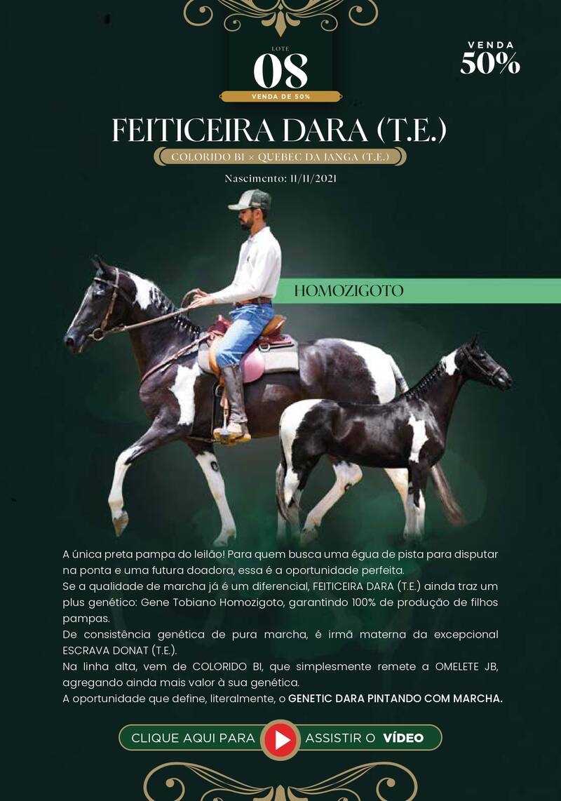 Foto (50.0%) FEITICEIRA DARA (T.E.) (HOMOZIGOTO)