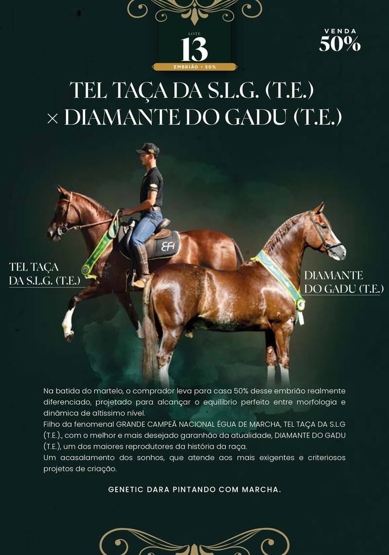 Foto (50.0%) EMBRIÃO TEL TAÇA DA S.L.G. (T.E.) × DIAMANTE DO GADU (T.E.)