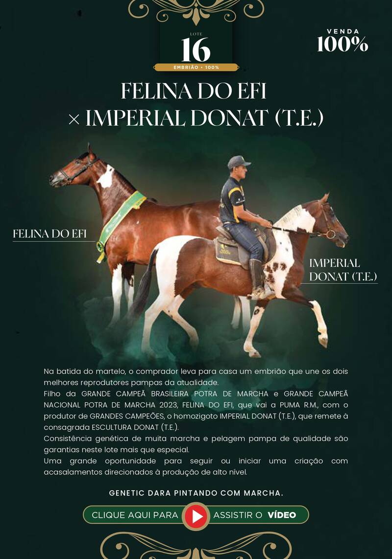 Foto (100.0%) EMBRIÃO FELINA DO EFI × IMPERIAL DONAT (T.E.)