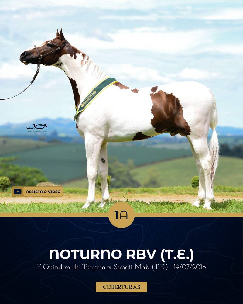 Foto COBERTURA NOTURNO RBV (T.E.)