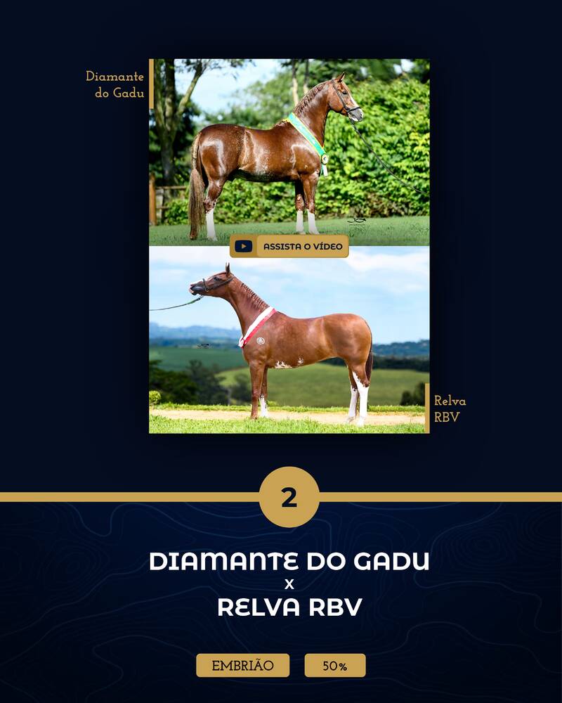 Foto (50.0%) EMBRIÃO DIAMANTE DO GADU X RELVA RBV