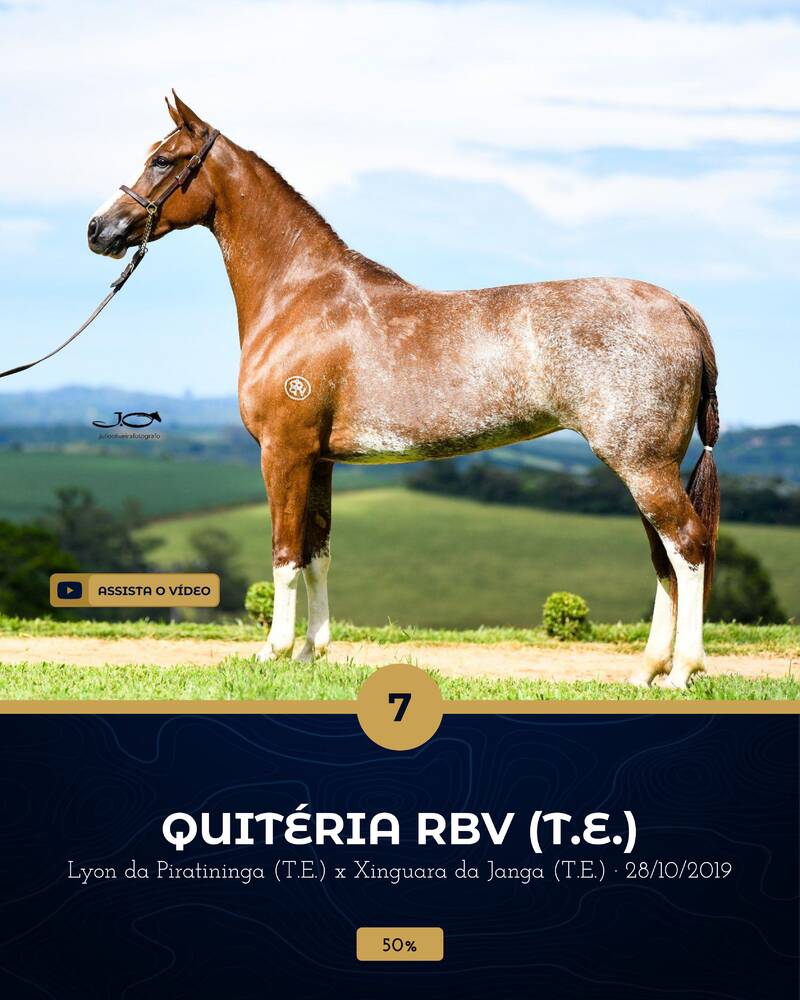 Foto (50.0%) QUITÉRIA RBV (T.E.)