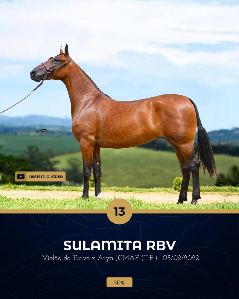 Foto (50.0%) SULAMITA RBV