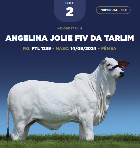 Foto (50.0%) ANGELINA JOLIE FIV DA TARLIM
