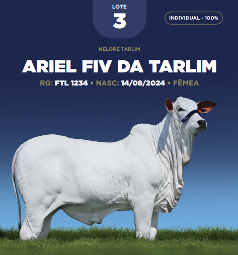 Foto (100.0%) ARIEL FIV DA TARLIM