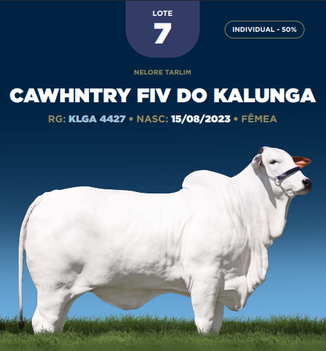 Foto (50.0%) CAWHNTRY FIV DO KALUNGA