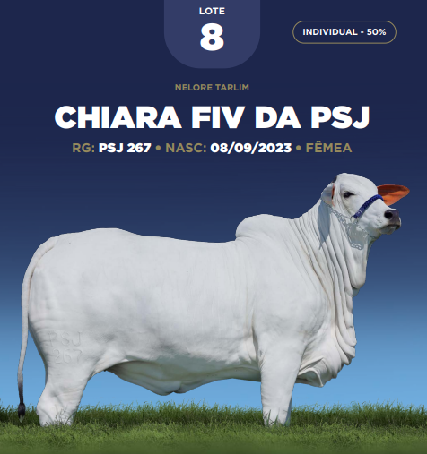 Foto (50.0%) CHIARA FIV DA PSJ