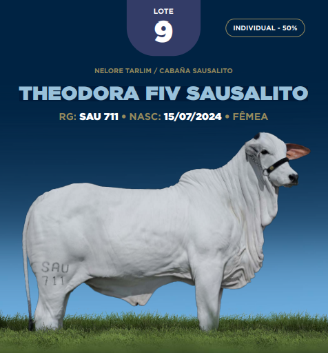 Foto (50.0%) THEODORA FIV SAUSALITO