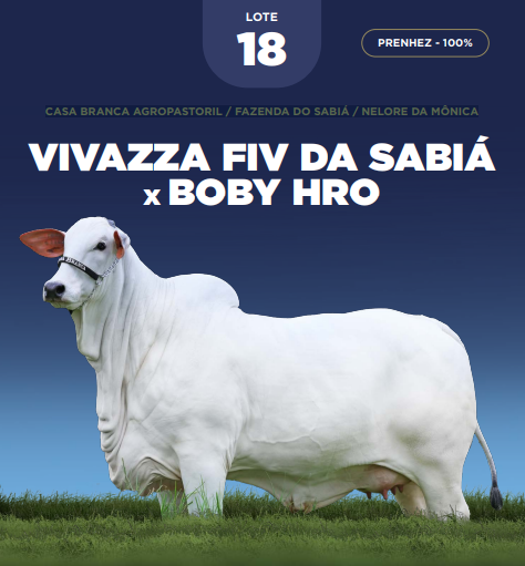 Foto (100.0%) PRENHEZ VIVAZZA FIV DA SABIÁ X BOBY HRO