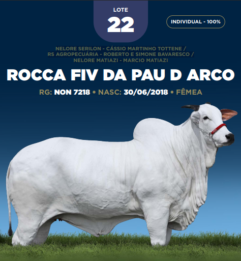 Foto (100.0%) ROCCA FIV DA PAU D ARCO
