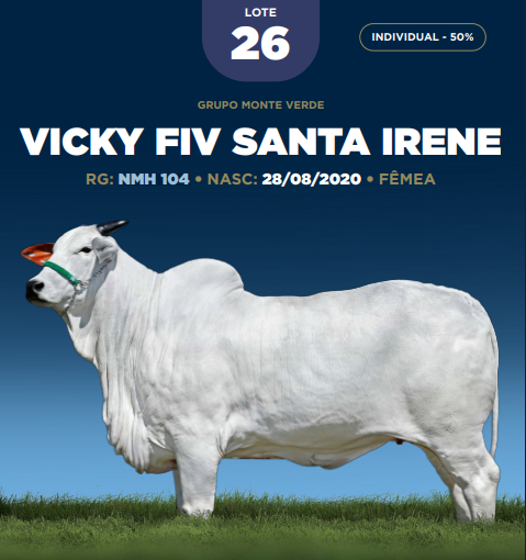 Foto (50.0%) VICKY FIV SANTA IRENE