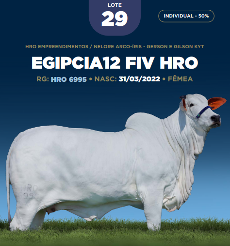 Foto (50.0%) EGIPCIA12 FIV HRO