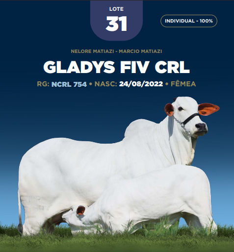 Foto (100.0%) GLADYS FIV CRL