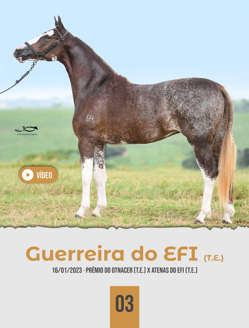 Foto GUERREIRA DO EFI (T.E.)