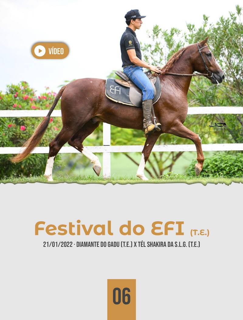 Foto FESTIVAL DO EFI (T.E.)