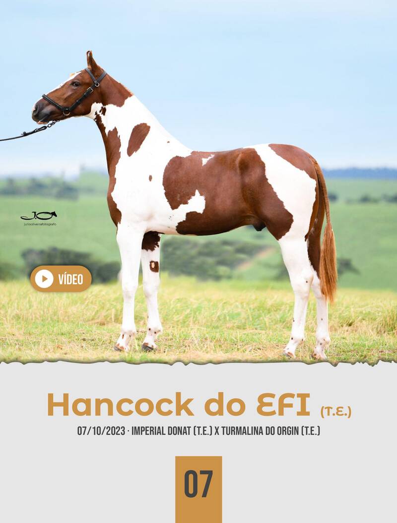 Foto HANCOCK DO EFI (T.E.)