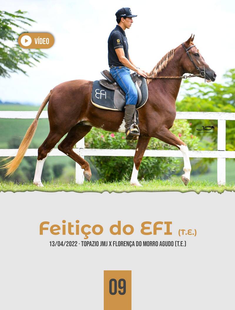 Foto FEITIÇO DO EFI (T.E.)